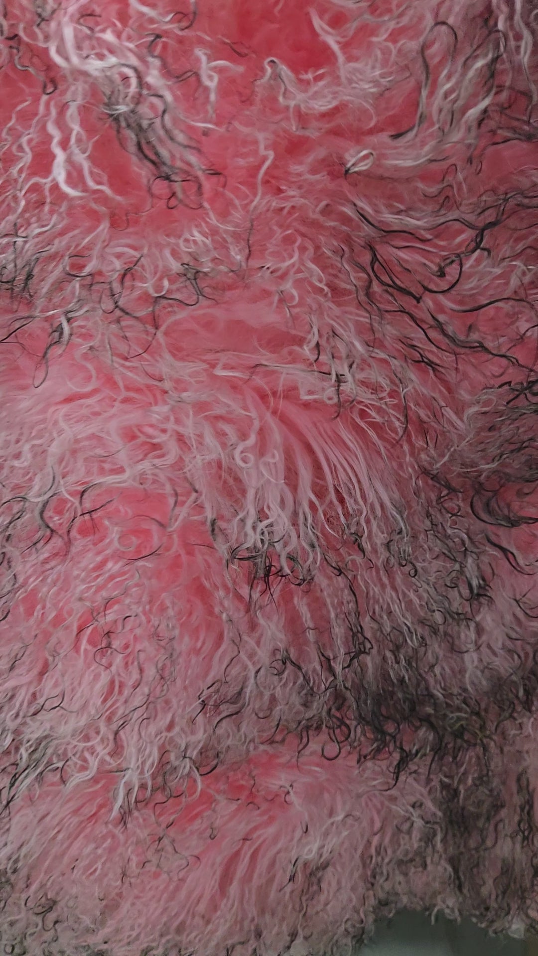 Pink and Black Tipped Mongolian / Tibetan Lamb Panels 4' x 2'