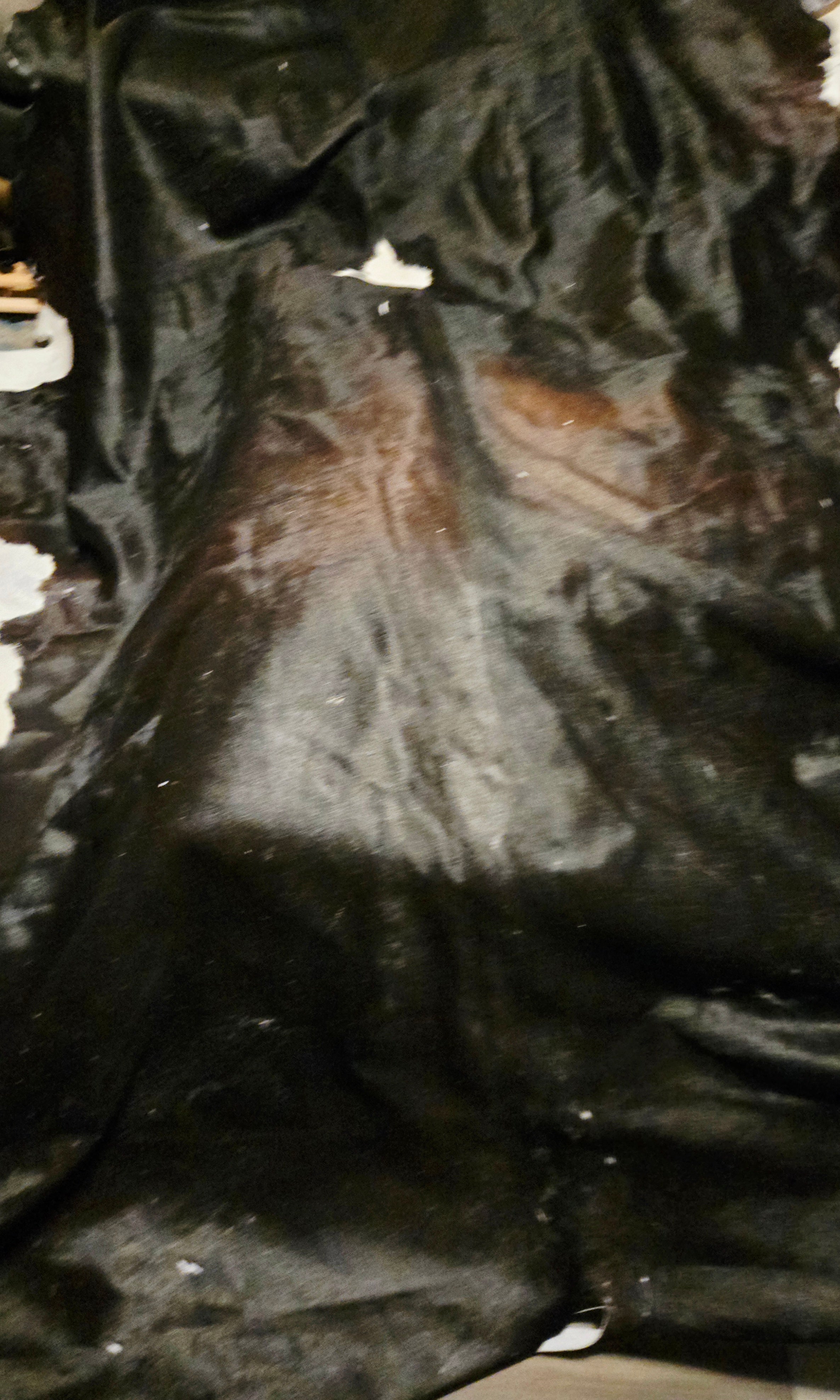 Practice Brazilian Hair-On Quarter Hides (~15 Square Feet)