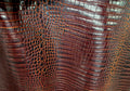 Variegated Brown 3 - 4 Oz Leather Quarter Hide (8 - 9 Square Feet)